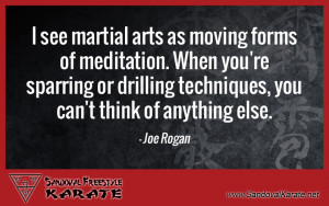Joe Rogan Martial Arts Quote