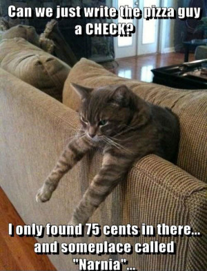 cat pictures funny funny cat pictures with captions humor lolcats