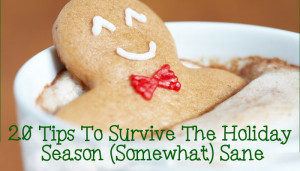 20-Tips-To-Survive-The-Holiday-Season.jpg