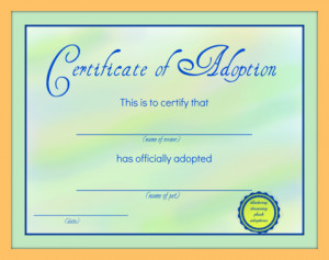 Stuffed Animal Adoption Certificate