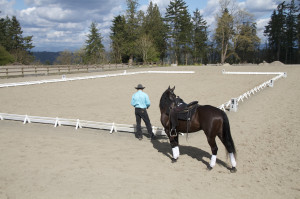Dressage and western may seem poles apart, but the disciplines have ...