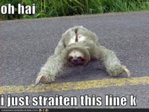 Sloth wtf funny Image