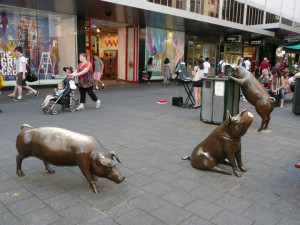 Pig sculptures in Adelaide Shopping Mall