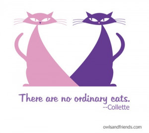 Do you agree with Collette's quote? There are no ordinary cats.