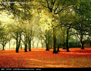 温馨提示：如果下载后无法打开，或预览图和下载 ...