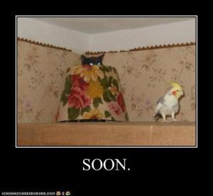 funny soon meme, bacon wrapped media (13)