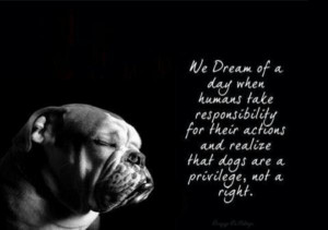 Anime quotes, best, deep, sayings, dog, dream