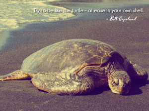 Try to be like the turtle - at ease in your own shell. Bill Copeland