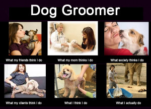 What Dog Groomers do....