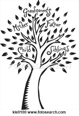 clip art hd family tree images stock pictures royalty free family tree