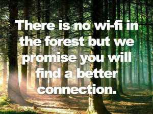 There is no wifi in the forest but we promise you will find a better ...