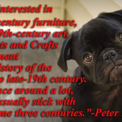 The Best Quotes from Harry and Peter Brant, Illustrated By Pugs
