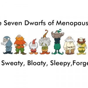 The Seven Dwarfs of #Menopause Mug Quiet Funny, Hot Flash, Growing ...