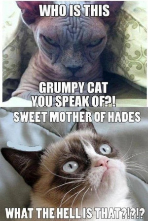 Evil cat vs grumpy cat meme