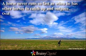 ... horse quotes horse jumping quotes horse quotes horse quotes 2014 horse