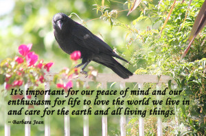 It’s Important For Our Peace Of Mind And Our Enthusiasm For Life To ...
