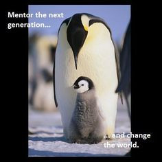 mentor and change the world # mentoring # inspiring wild life favorit ...