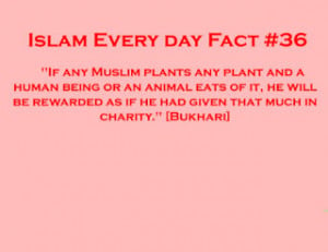 Islamic Quotes on Charity ..