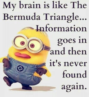 Top 40 Funniest Minions Quotes #sayings