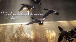 Tags: 1920x1080 Soar Quotes Like Quotes Eagle Quotes