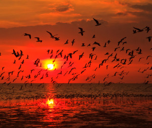 ... the Morning, Sailors Take Warning… And Other Nautical Lore Sayings