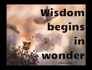 ... 28 #Noteworthy #Socrates #Quotes That Hold True To This Day[/caption