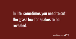 quote of the day: In life, sometimes you need to cut the grass low for ...