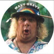Wavy Gravy Pin by Barger's Boutique. $1.00. Wavy Gravy is an icon of ...