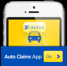 Aviva Community Fund 2014