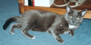 CBS MarketWatch, a leading publisher of business and financial news ...