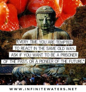 Buddha Wisdom, Lovley Things, Prison, Pioneer, My Life, Posts, Beauty ...