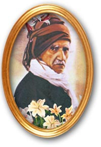 Copyright © 2015, Like Success, All rights reserved. Privacy ...