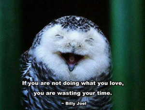 Pinned by maribeth terhune