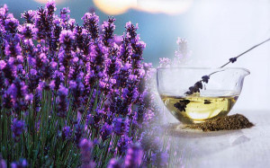 Sleep: Lavender essential oil induces sleep and hence it is often ...