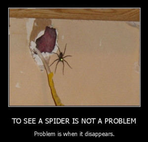 See_A_Spider_funny_picture