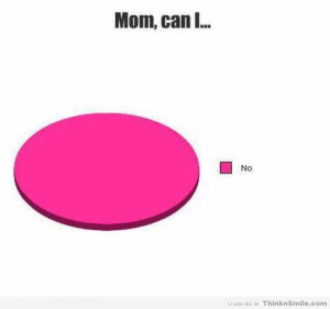 mom_can_i_no_pie_chart_funny