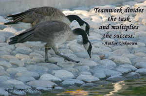 Teamwork divides the task and multiplies the success. ~ Author Unknown