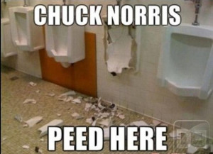 Chuck Norris Peed Here