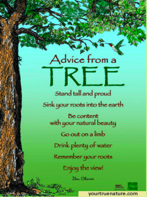 Advice from a tree2