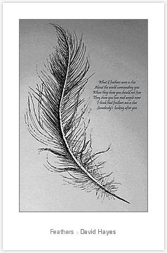 Feathers by David Hayes Follow
