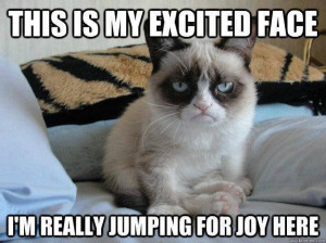 There you go, 8 new Grumpy Cat Memes. If this has improved your mood ...