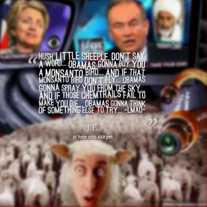 Quotes Picture: hush little sheeple, don't say a word obamas gonna buy ...