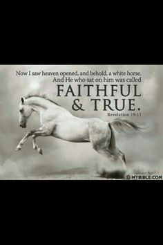 Special Bible verses~