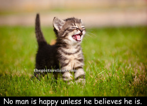 Cute Quotes About Life Kitten