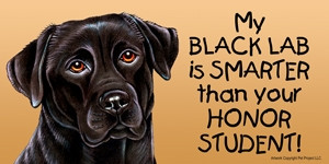 ... Black Lab is smarter than your honor student Waterproof 4