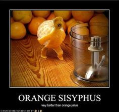 ORANGE SISYPHUS More