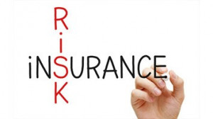 Options thinking and platform investments investing in opportunity ...