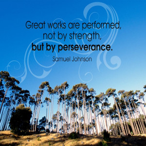 Great works are performed not by strength, but by perseverance.