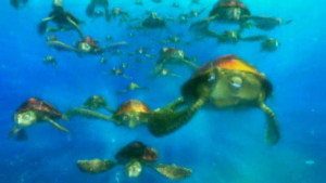 Sea Turtle Cartoon Nemo...