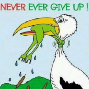ISMAIL Never Give Up quotes